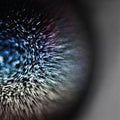 Emptyset - Blossoms |
