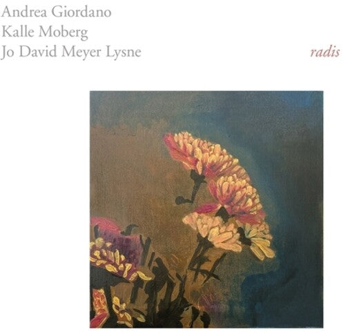 ANDREA GIORDANO / KALLE MOBERG - (PRE ORDER 4/24/26) Radis (VINYL) | Mint (M) Mint (M)