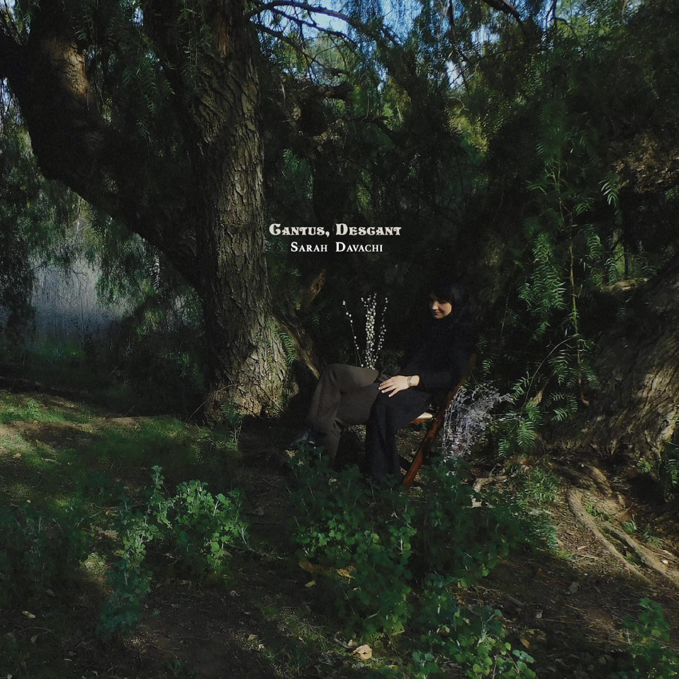 Davachi, Sarah - Cantus, Descant |