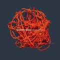 Observatory Music CD