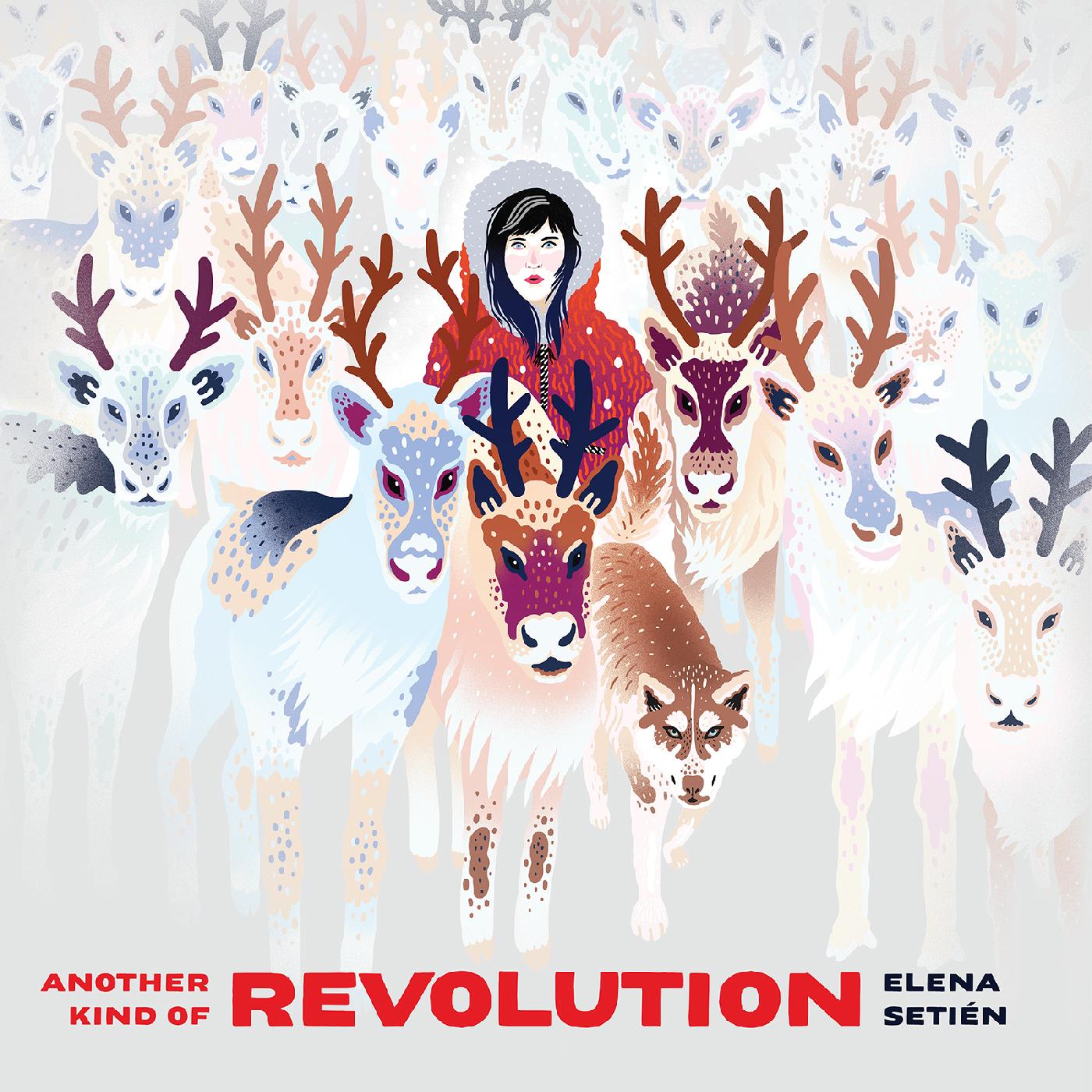 Another Kind Of Revolution Vinyl Record