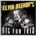 Elvin Bishop's Big Fun Trio Music CD