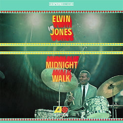 Midnight Walk Vinyl Record