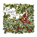 Bird Or Snake Vinyl Record