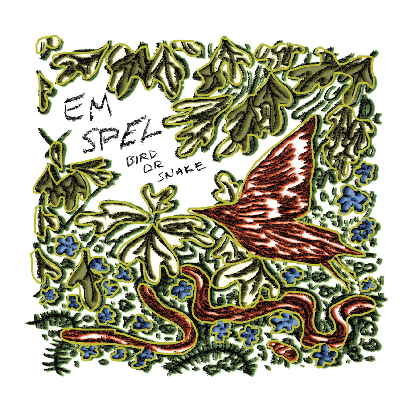 Bird Or Snake Vinyl Record