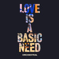 Embrace - Love Is A Basic Need (Orchestral) [Vinyl] Vinyl Record