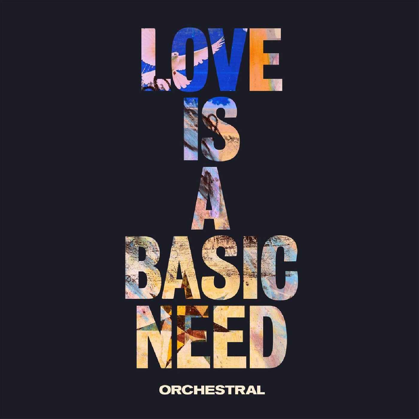 Embrace - Love Is A Basic Need (Orchestral) Vinyl Record