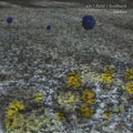 Air/Field/Feedback Music CD