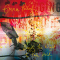 Begging The Night To Take Hold Music CD
