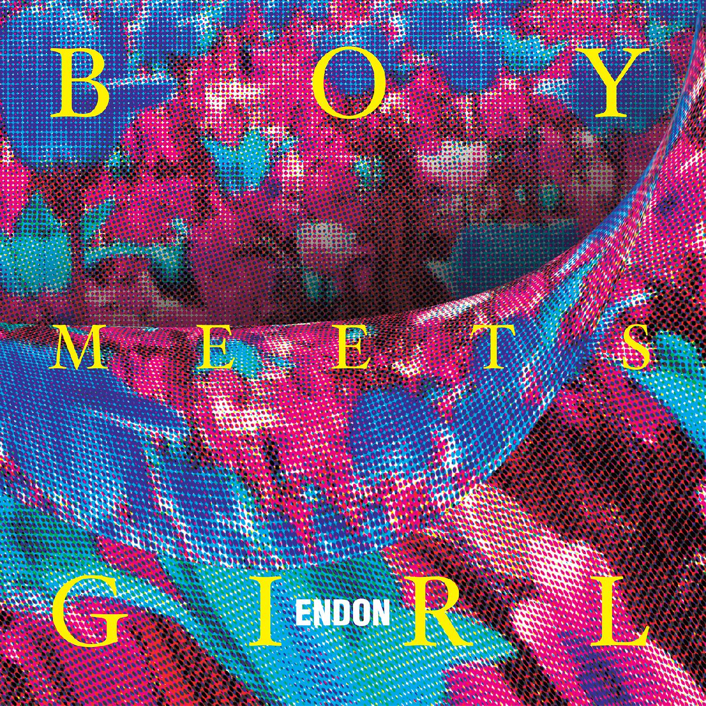 Boy Meets Girl Vinyl Record
