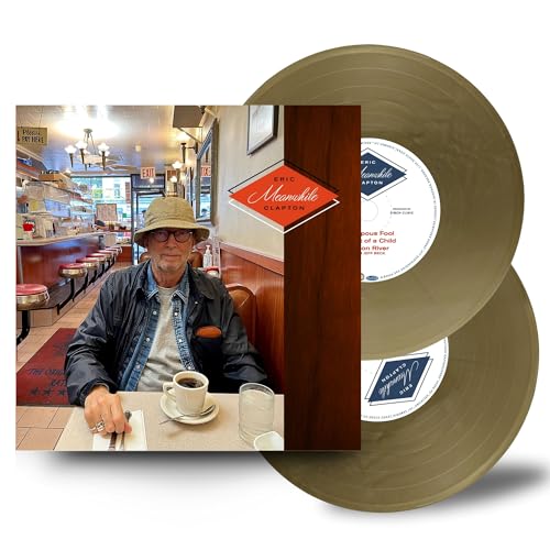 Meanwhile Vinyl Record