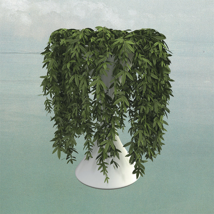 Lease Of Life Music CD