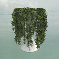 Lease Of Life Music CD