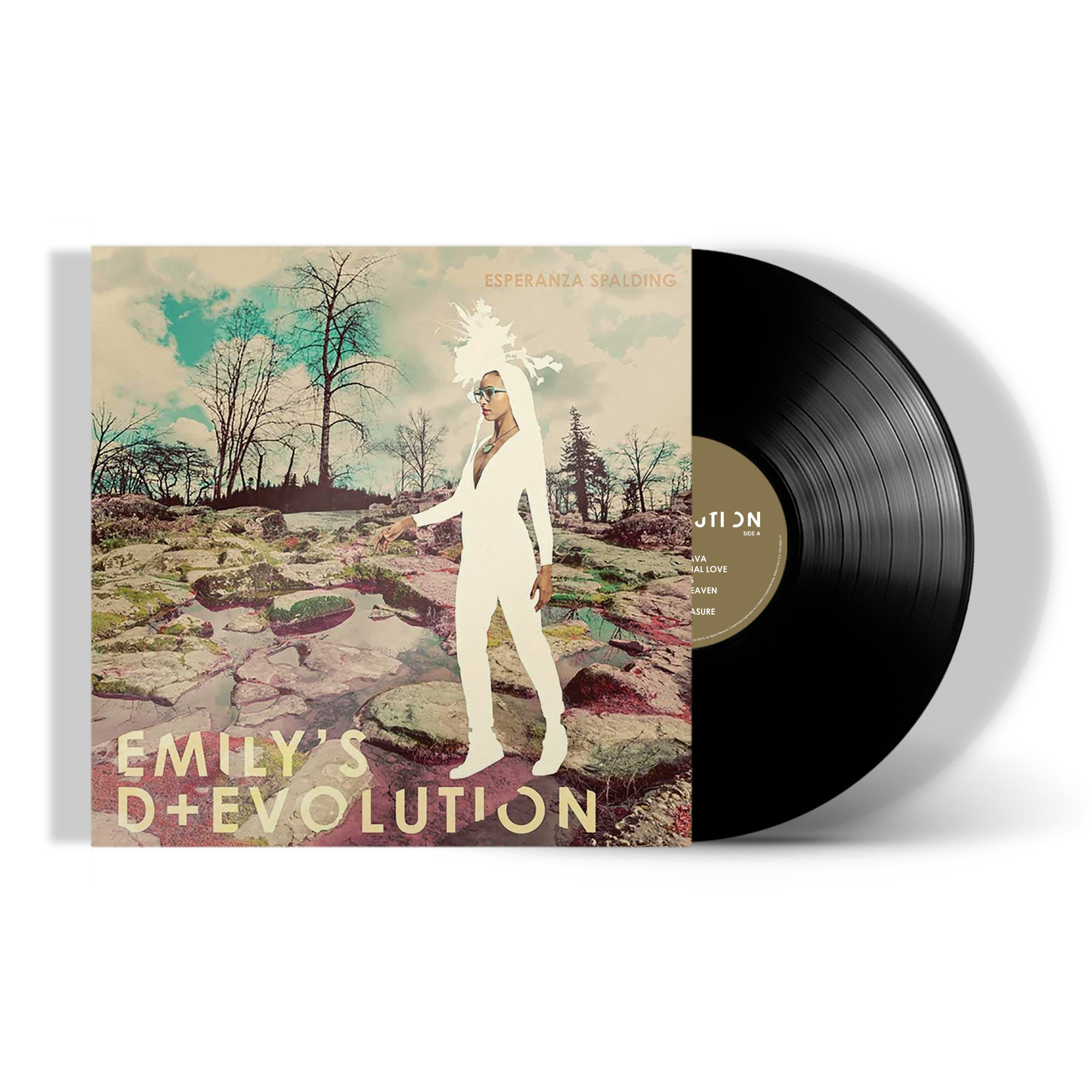 Emily's D + Evolution - Black Vinyl Record