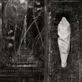 [PRE-ORDER] Estuary - Wolves In The Throne Room [Silver Vinyl] [Vinyl] Vinyl Record