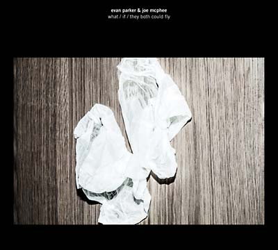 What/If/They Both Could Fly Music CD