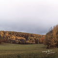 Quiet Energies Music CD