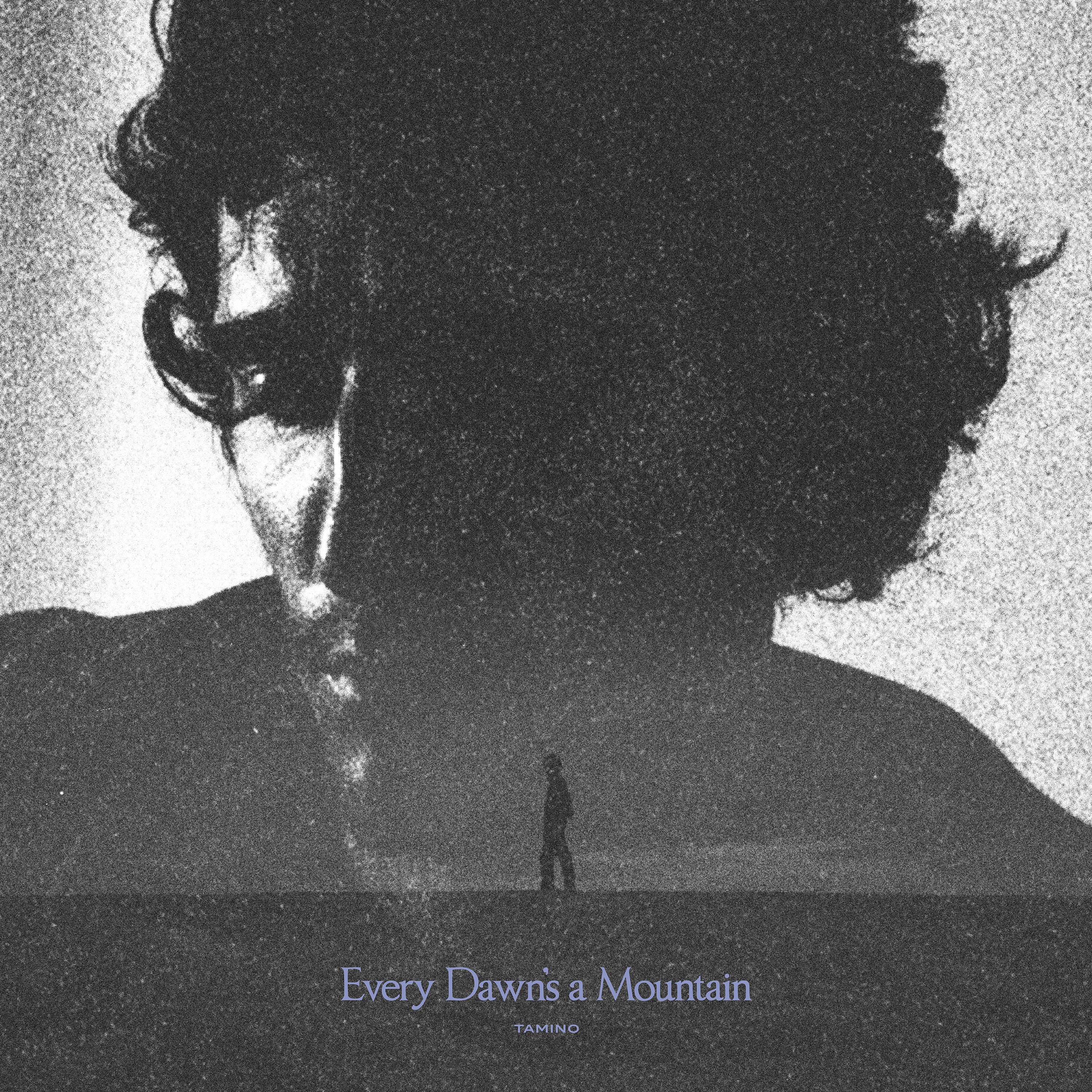 Every Dawn's a Mountain (Black & Silver Marbled) Vinyl Record