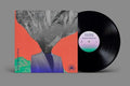 Everything Everything - Mountainhead Vinyl Record