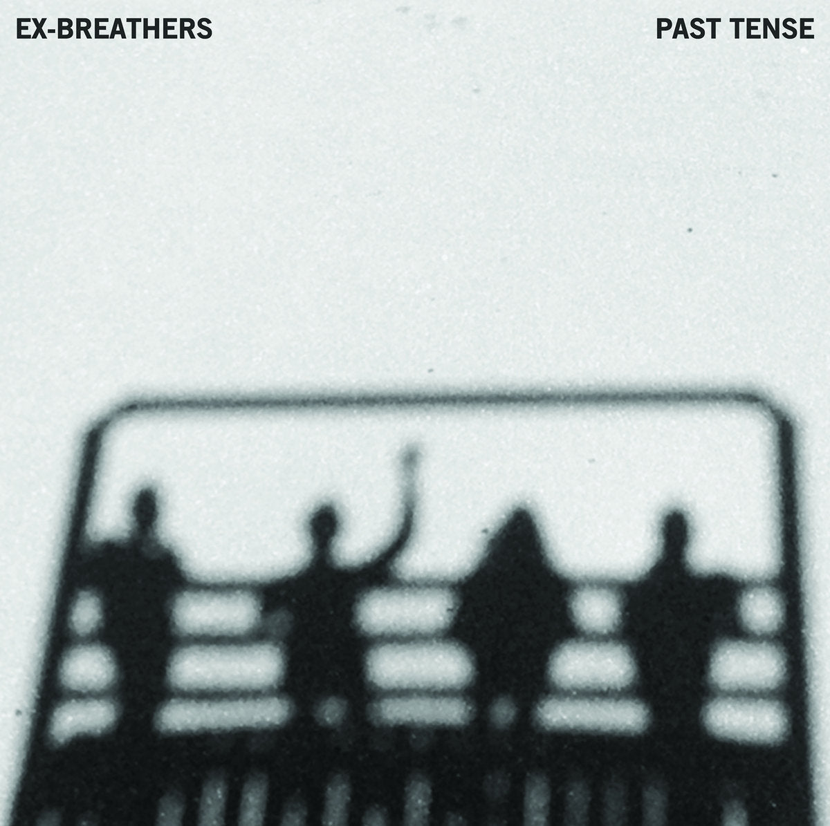 Past Tense Vinyl Record