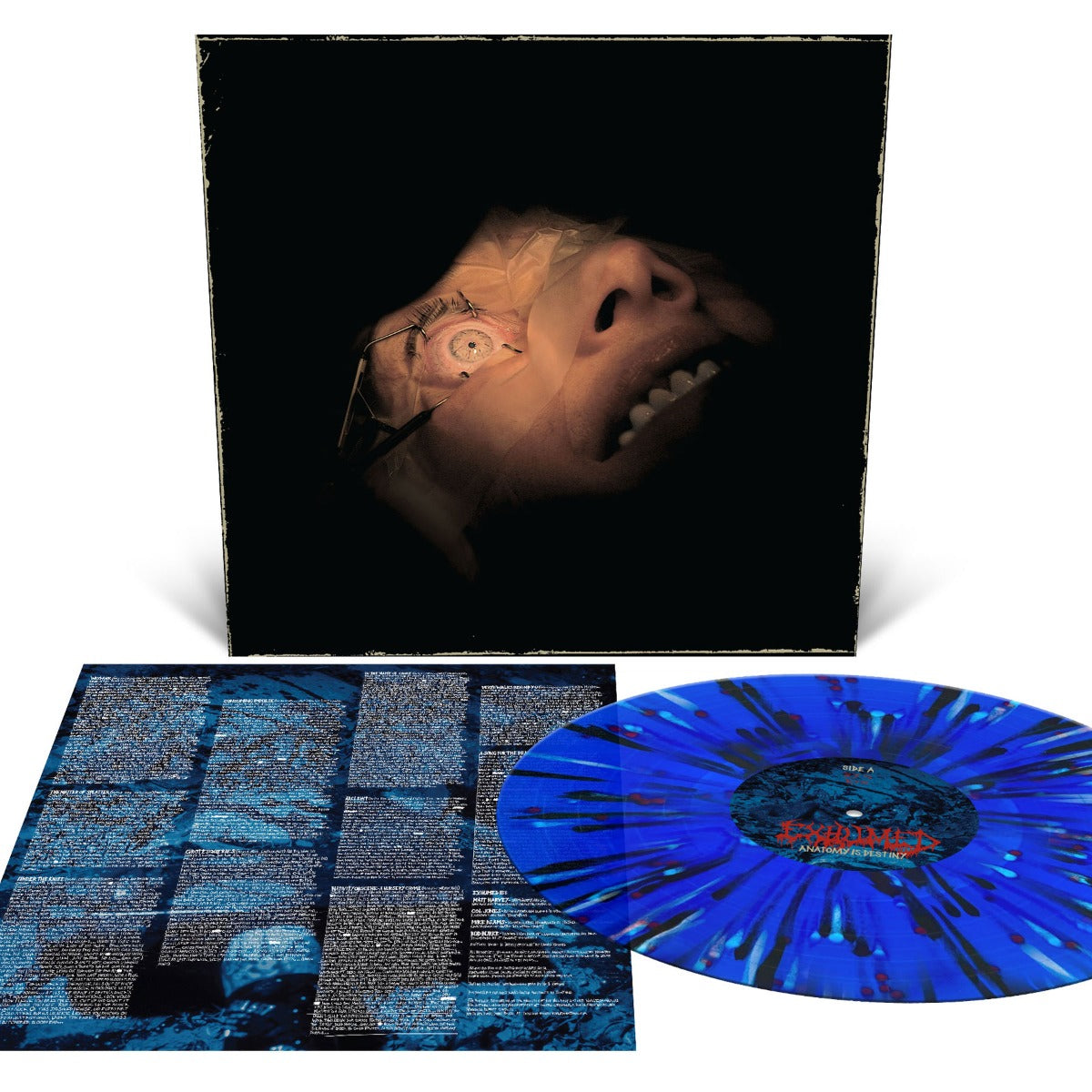 Anatomy Is Destiny (Royal Blue with Splatter) Vinyl Record