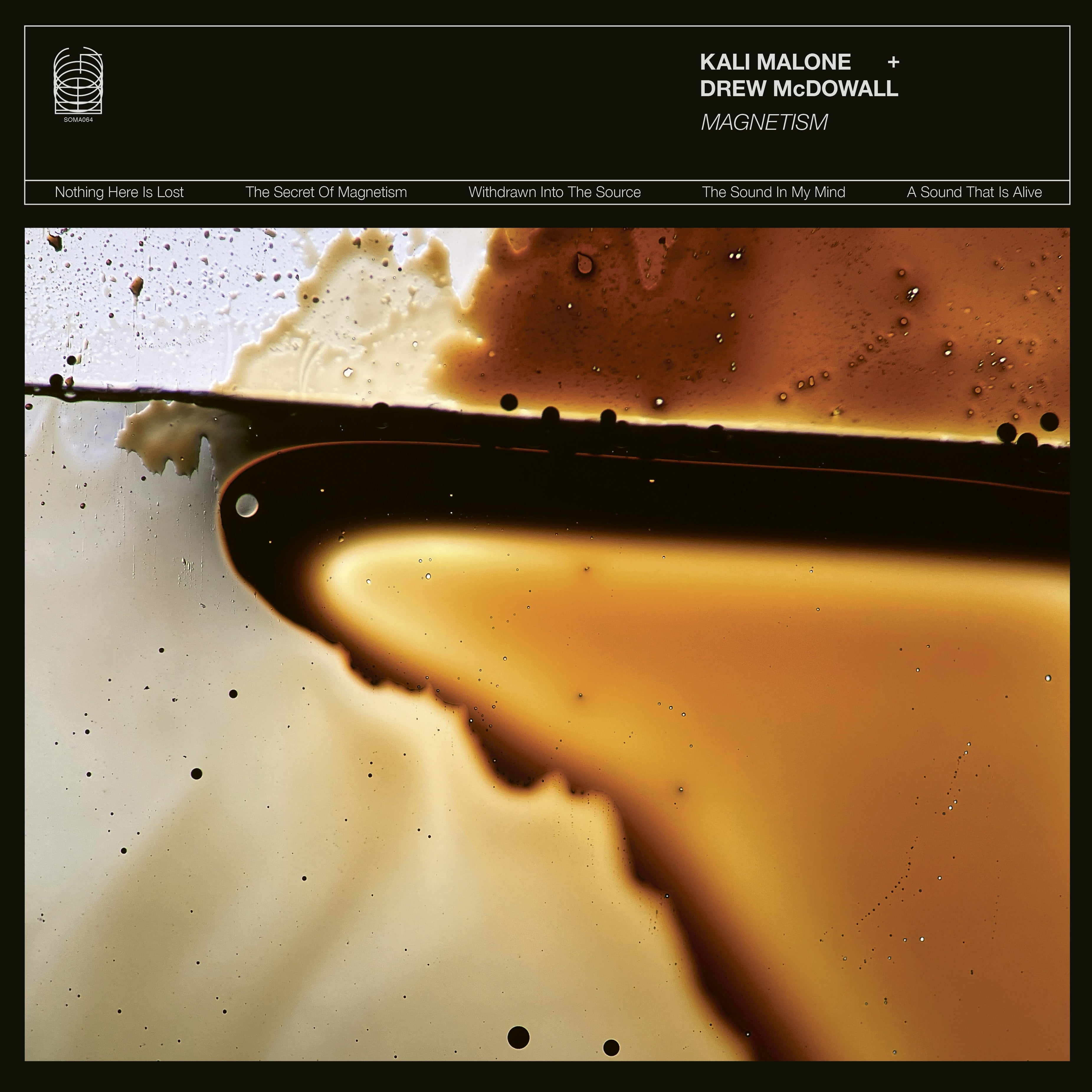 Magnetism (VINYL) | Mint (M) Mint (M)