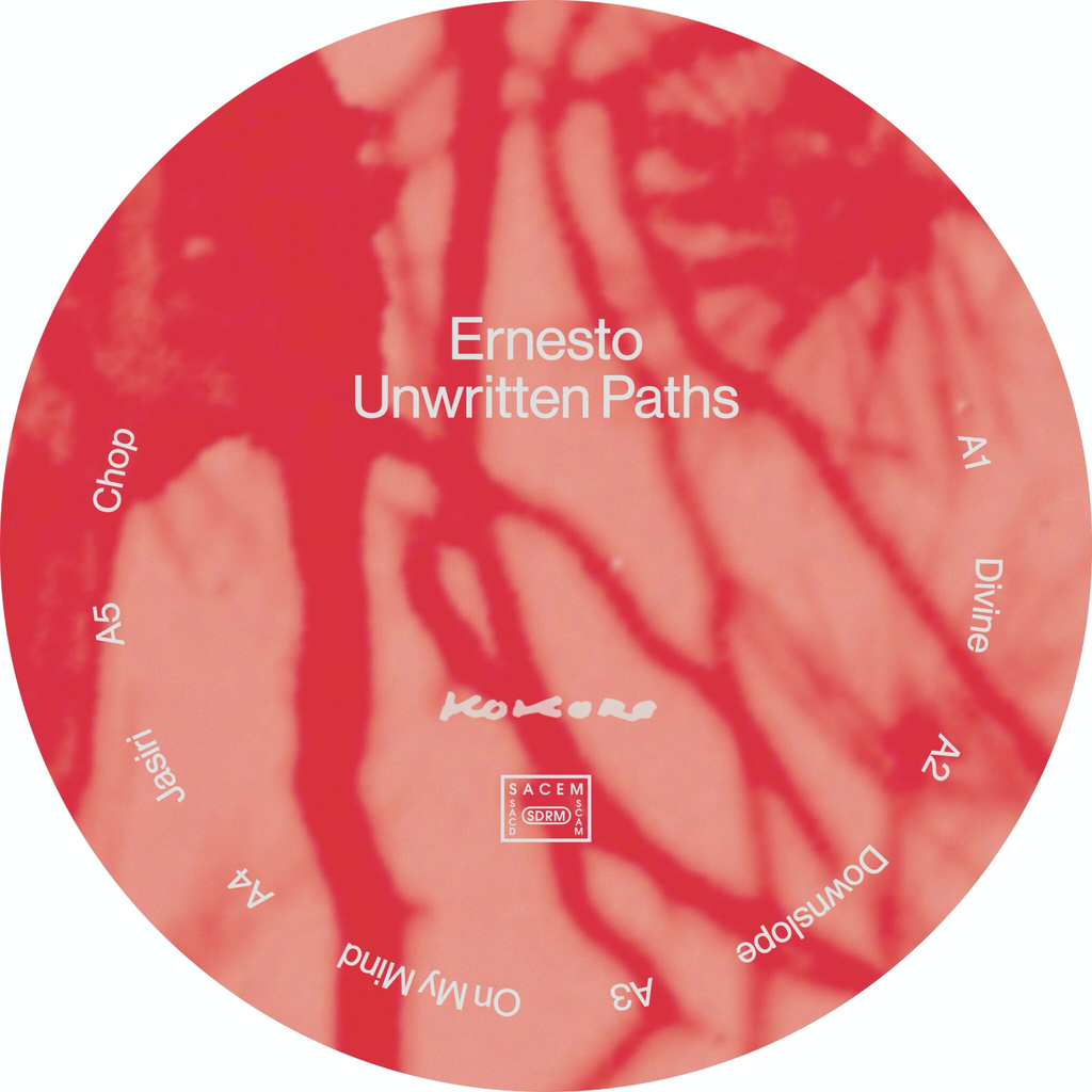 Ernesto - (PRESALE 6/15/26) Unwritten Paths (VINYL) | Mint (M) Mint (M)
