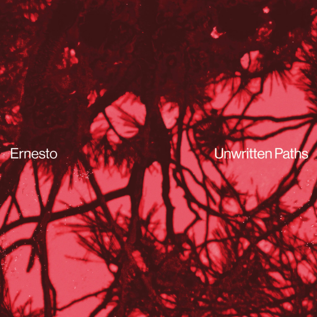 Ernesto - (PRESALE 6/15/26) Unwritten Paths (VINYL) | Mint (M) Mint (M)