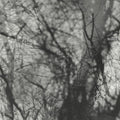 Way Their Crept (VINYL) | Mint (M) Mint (M)