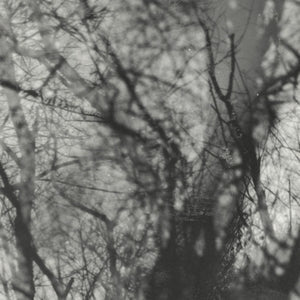 Way Their Crept (VINYL) | Mint (M) Mint (M)