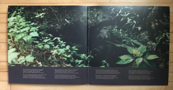 Ultrasonic (2xVINYL) |