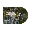 To The Detested Vinyl Record