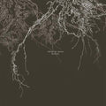 Tales Of Roots |