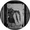 Il Ricordo Improvviso Dell'Assoluto Stupore [Vinyl]