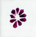 Chronicles Vinyl Record