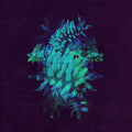 All Glows Music CD