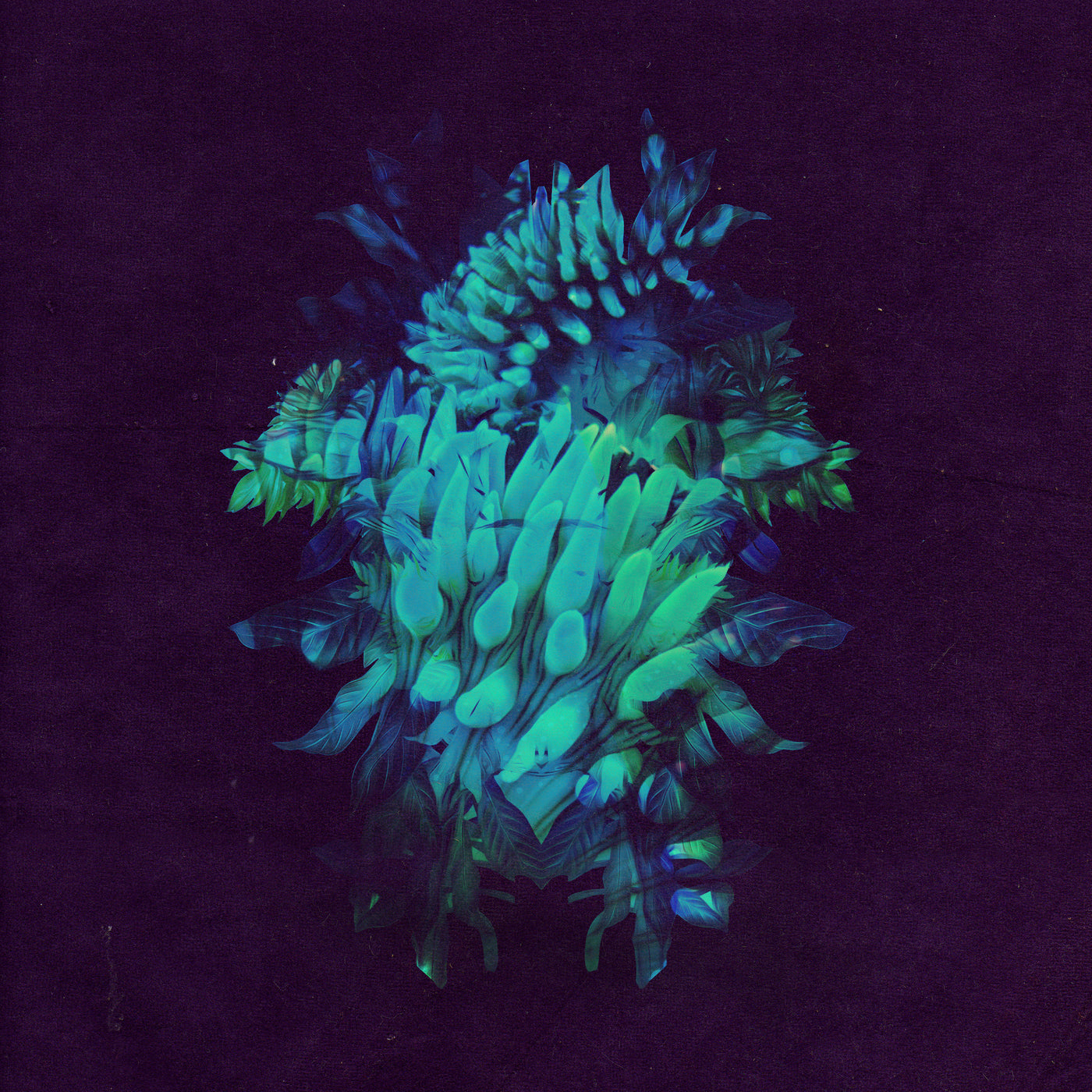 All Glows Music CD