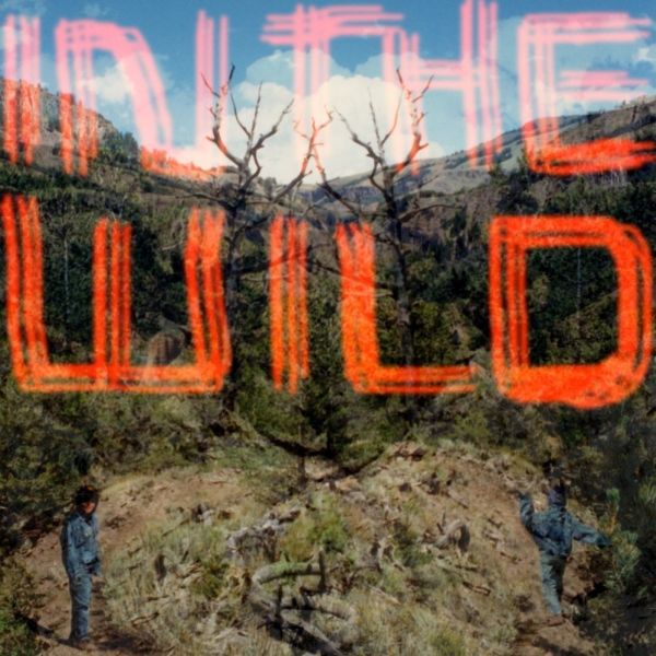In The Wild Vinyl Record