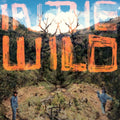 In The Wild Music CD