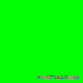 Party Album Vinyl Record