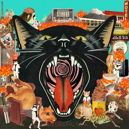 Fantastic Cat - Cat Out Of Hell |