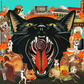 Cat Out Of Hell Vinyl Record