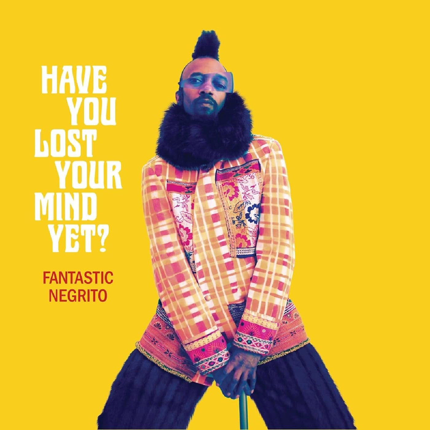 Have You Lost Your Mind Yet? Music CD