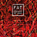 FAT and the Masters of Haha Music CD