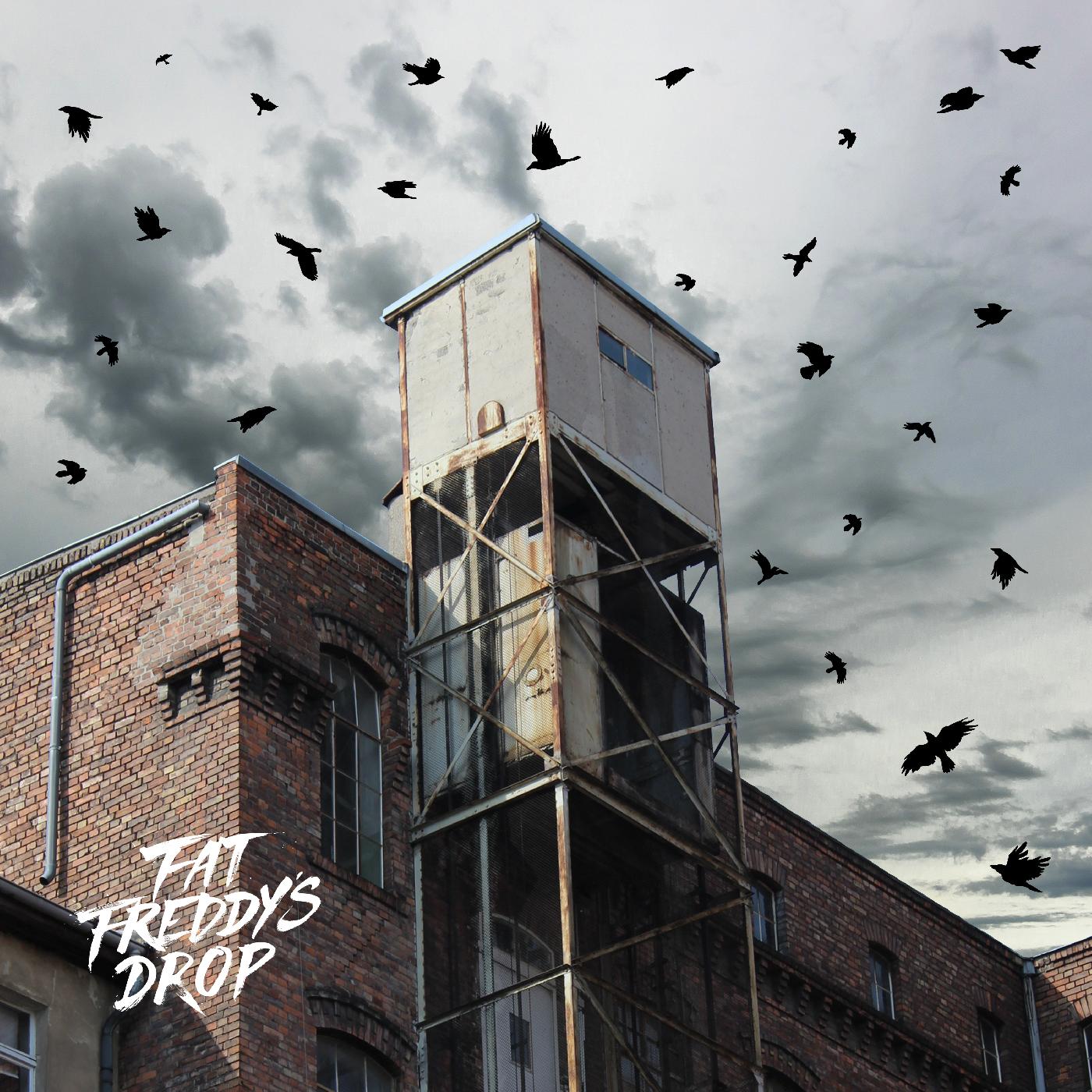 Fat Freddy's Drop - Blackbird Returns Vinyl Record