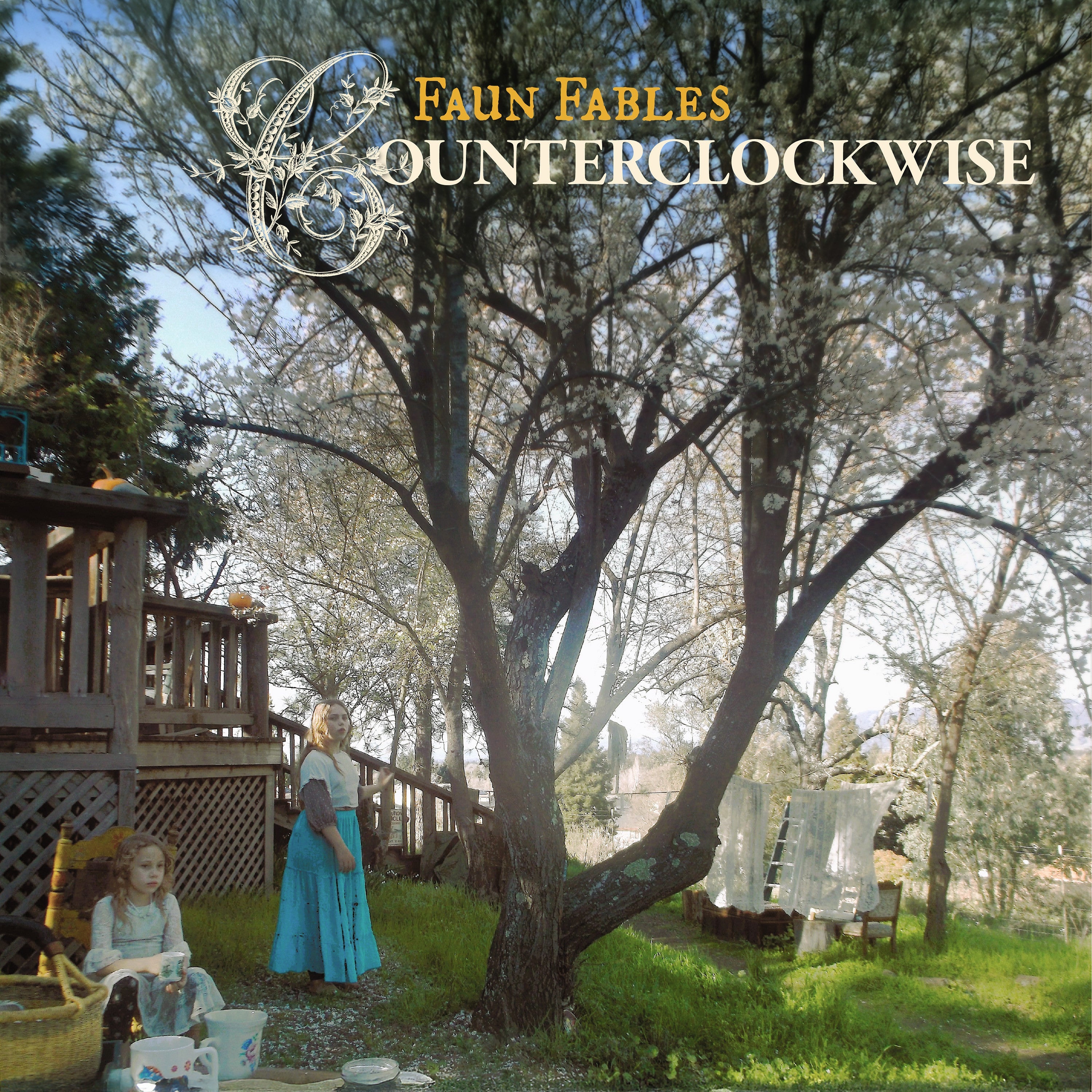 Counterclockwise Vinyl Record