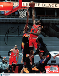 Patrick Williams Chicago Bulls Signed Basketball 8x10 Photo BAS