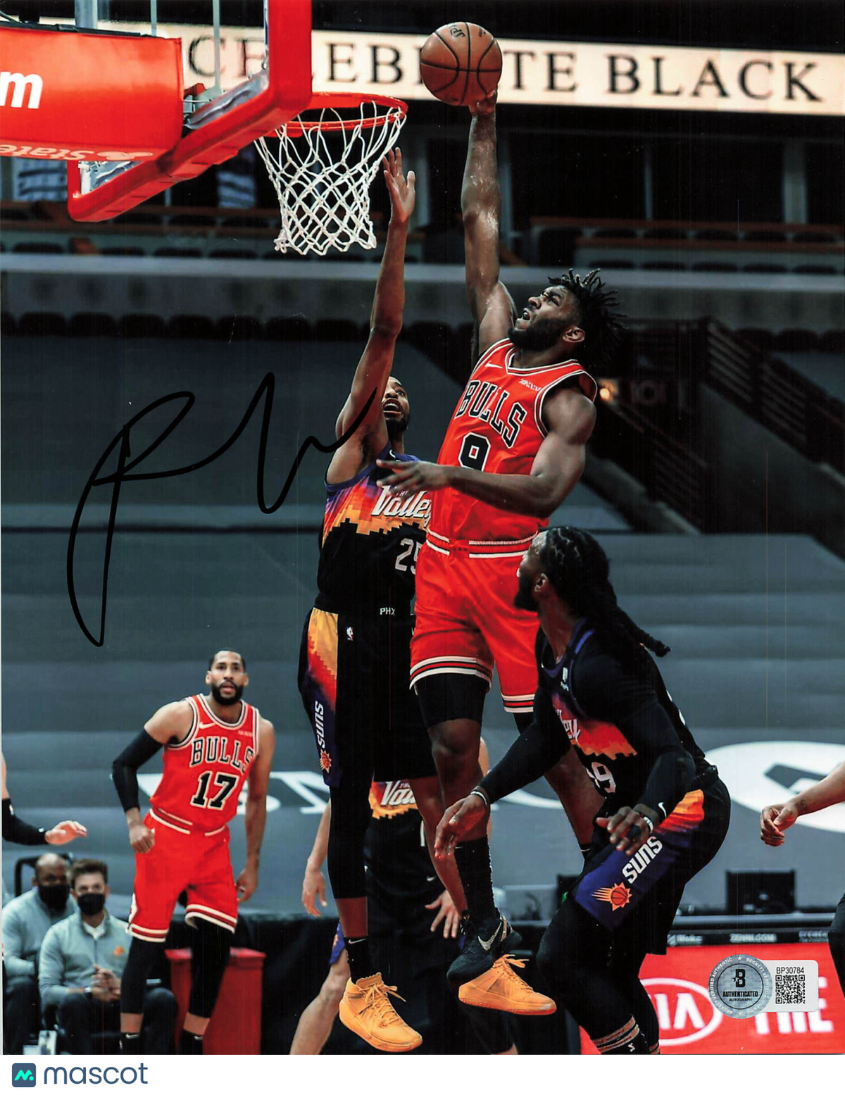 Patrick Williams Chicago Bulls Signed Basketball 8x10 Photo BAS