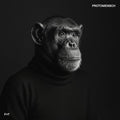 Protomensch Vinyl Record