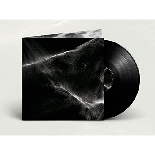 Final Light Vinyl Record